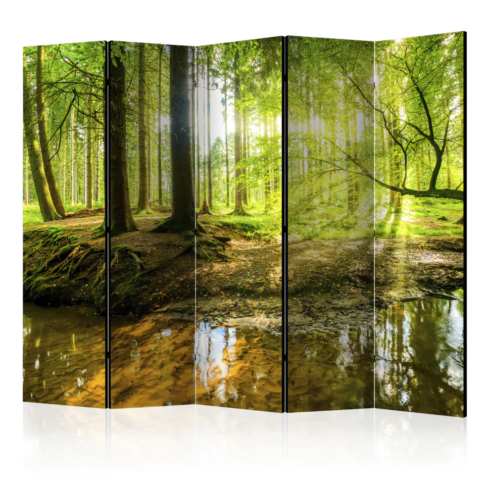 ⁨5-piece screen - Forest Lake II [Room Dividers] (size 225x172)⁩ at Wasserman.eu