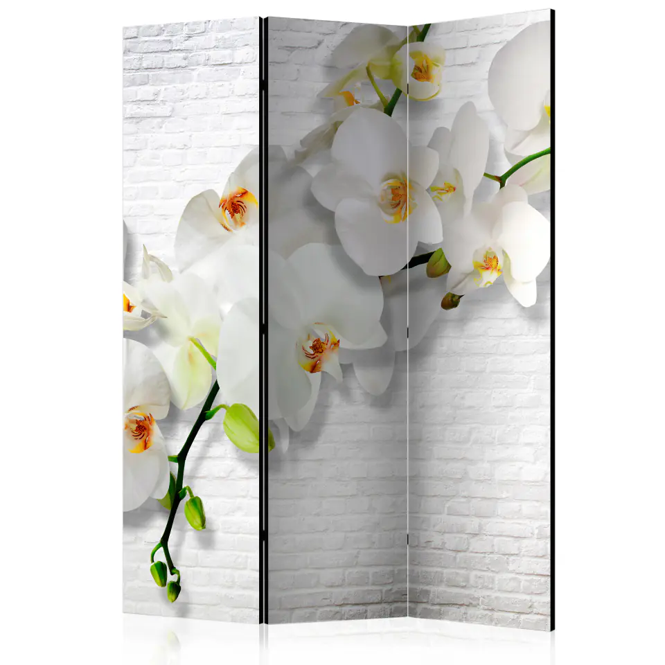 ⁨3-piece screen - Urban orchid [Room Dividers] (size 135x172)⁩ at Wasserman.eu