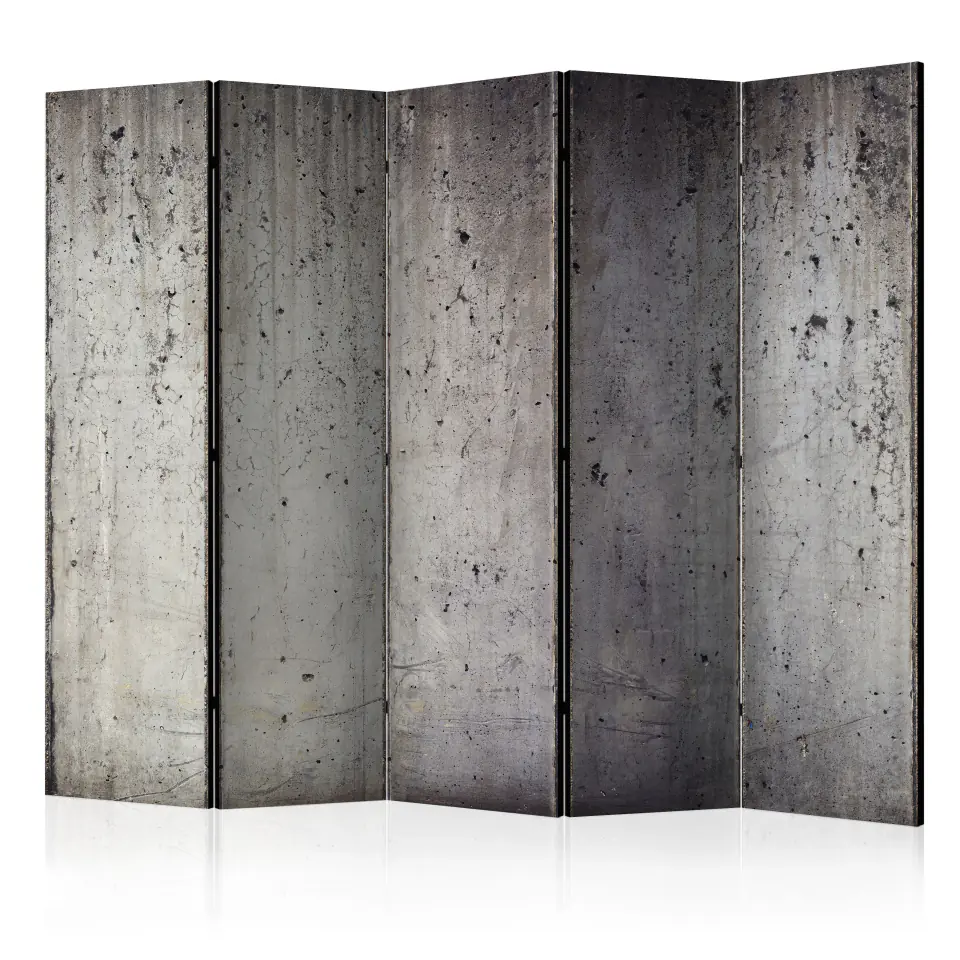 ⁨5-piece screen - Gray City [Room Dividers] (size 225x172)⁩ at Wasserman.eu