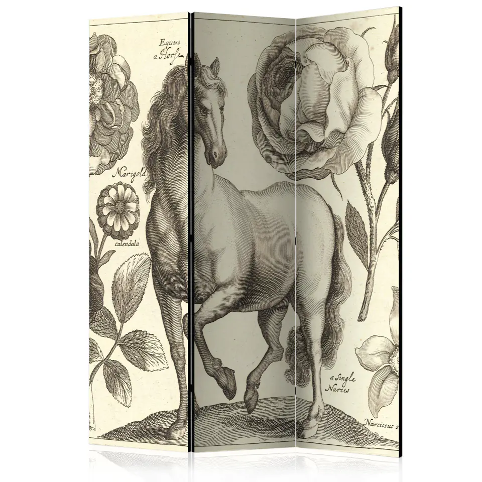 ⁨Screen 3-piece - Horse [Room Dividers] (size 135x172)⁩ at Wasserman.eu