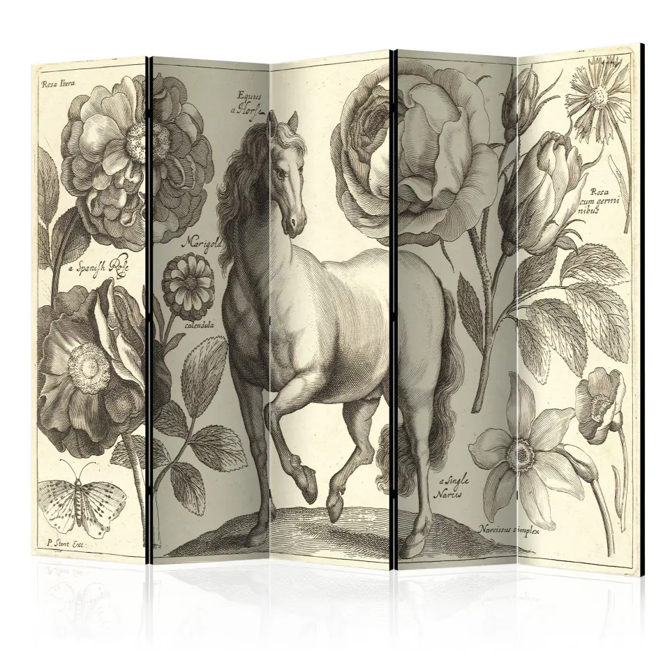 ⁨5-piece screen - Horse II [Room Dividers] (size 225x172)⁩ at Wasserman.eu