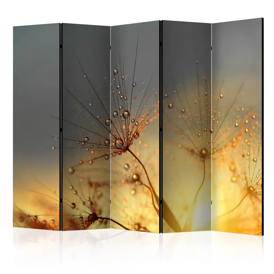 ⁨5-piece screen - Summer Solstice II [Room Dividers] (size 225x172)⁩ at Wasserman.eu