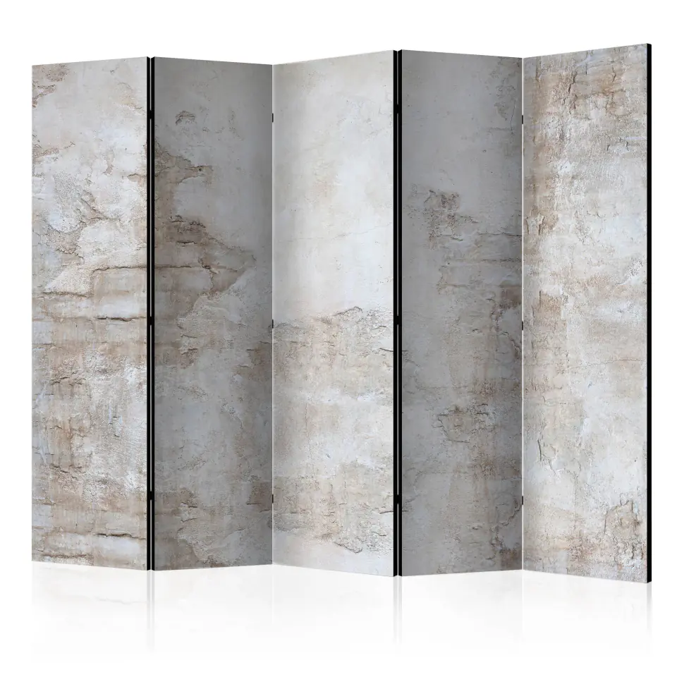 ⁨5-piece screen - Stone History II [Room Dividers] (size 225x172)⁩ at Wasserman.eu