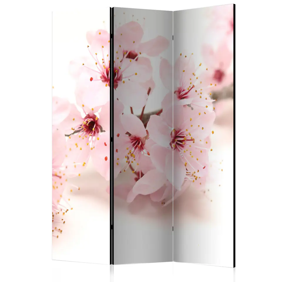 ⁨Screen 3-piece - Cherry blossom [Room Dividers] (size 135x172)⁩ at Wasserman.eu