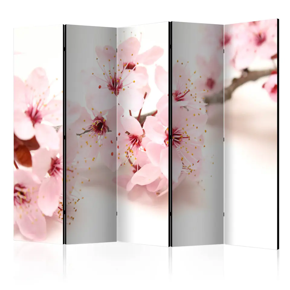 ⁨5-piece screen - Cherry blossom II [Room Dividers] (size 225x172)⁩ at Wasserman.eu