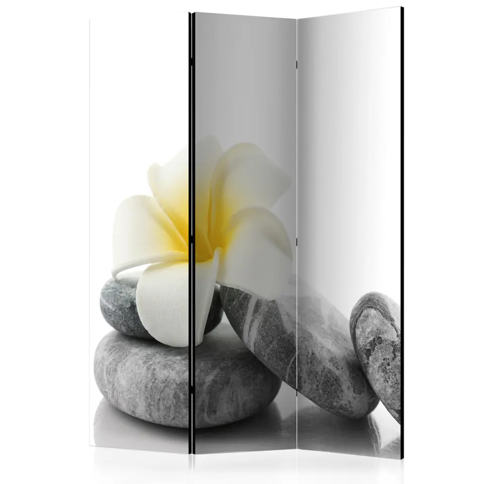 ⁨Parawan - Biały Lotos [Room Dividers] (rozmiar 135x172, wykończenie Dwustronny)⁩ w sklepie Wasserman.eu