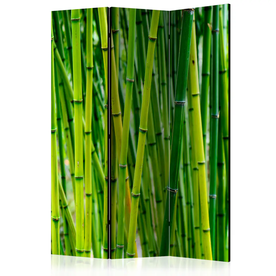 ⁨3-piece screen - Bamboo forest [Room Dividers] (size 135x172)⁩ at Wasserman.eu