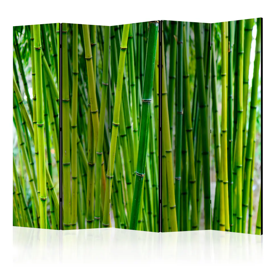 ⁨5-piece screen - Bamboo Forest II [Room Dividers] (size 225x172)⁩ at Wasserman.eu