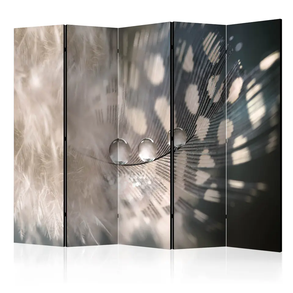 ⁨5-piece screen - Elegant feather II [Room Dividers] (size 225x172)⁩ at Wasserman.eu