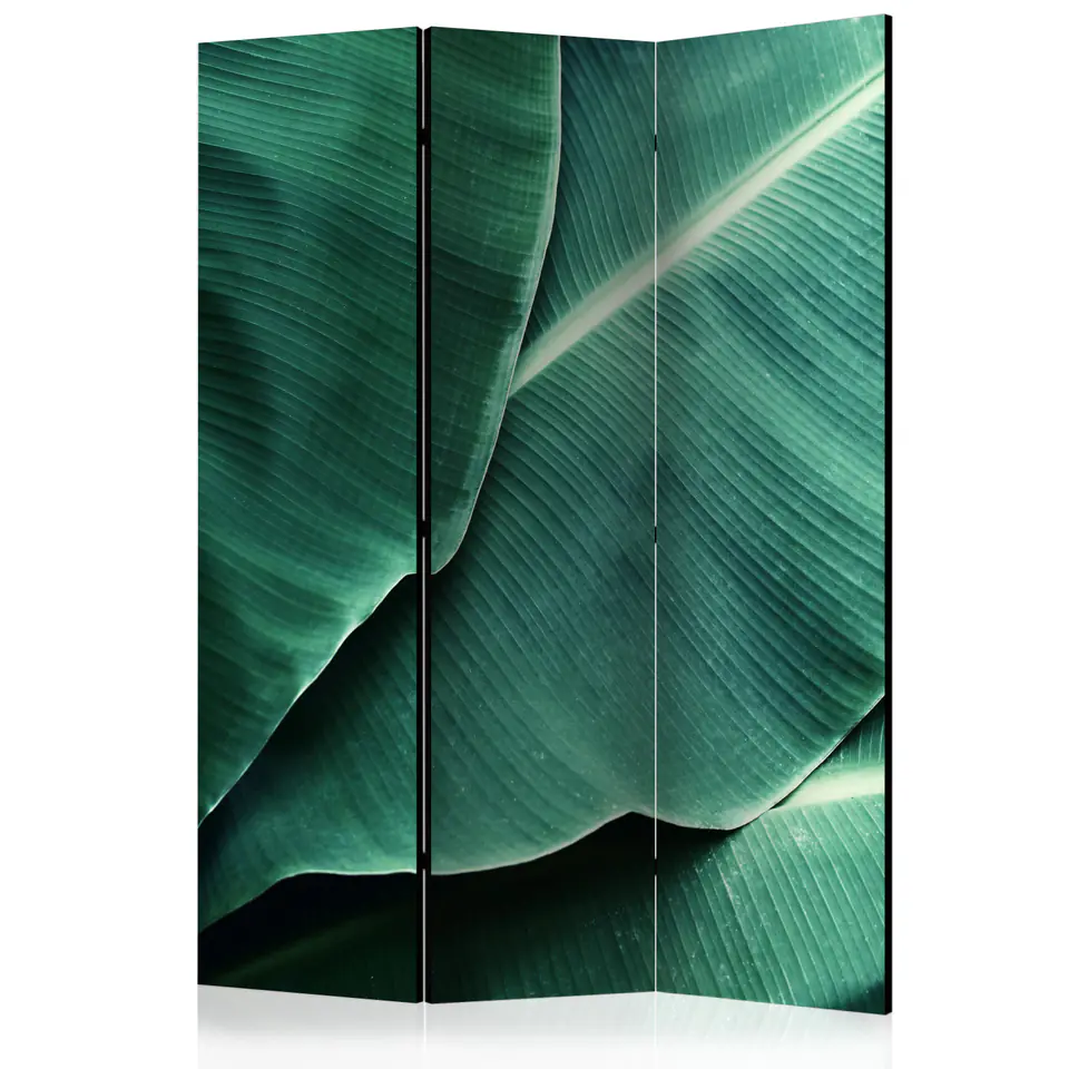 ⁨3-piece screen - Banana leaves [Room Dividers] (size 135x172)⁩ at Wasserman.eu