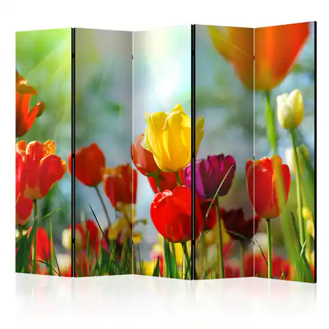 ⁨5-piece screen - Spring tulips II [Room Dividers] (size 225x172)⁩ at Wasserman.eu