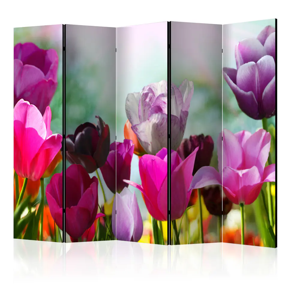 ⁨Parawan - Piękne tulipany II [Room Dividers] (rozmiar 225x172, wykończenie Dwustronny)⁩ w sklepie Wasserman.eu