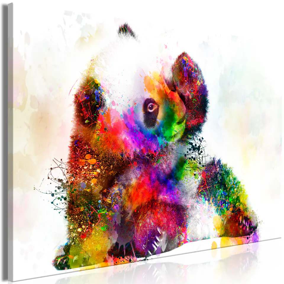 ⁨Obraz - Mała panda (1-częściowy) szeroki (rozmiar 30x20, wykończenie Standard)⁩ w sklepie Wasserman.eu