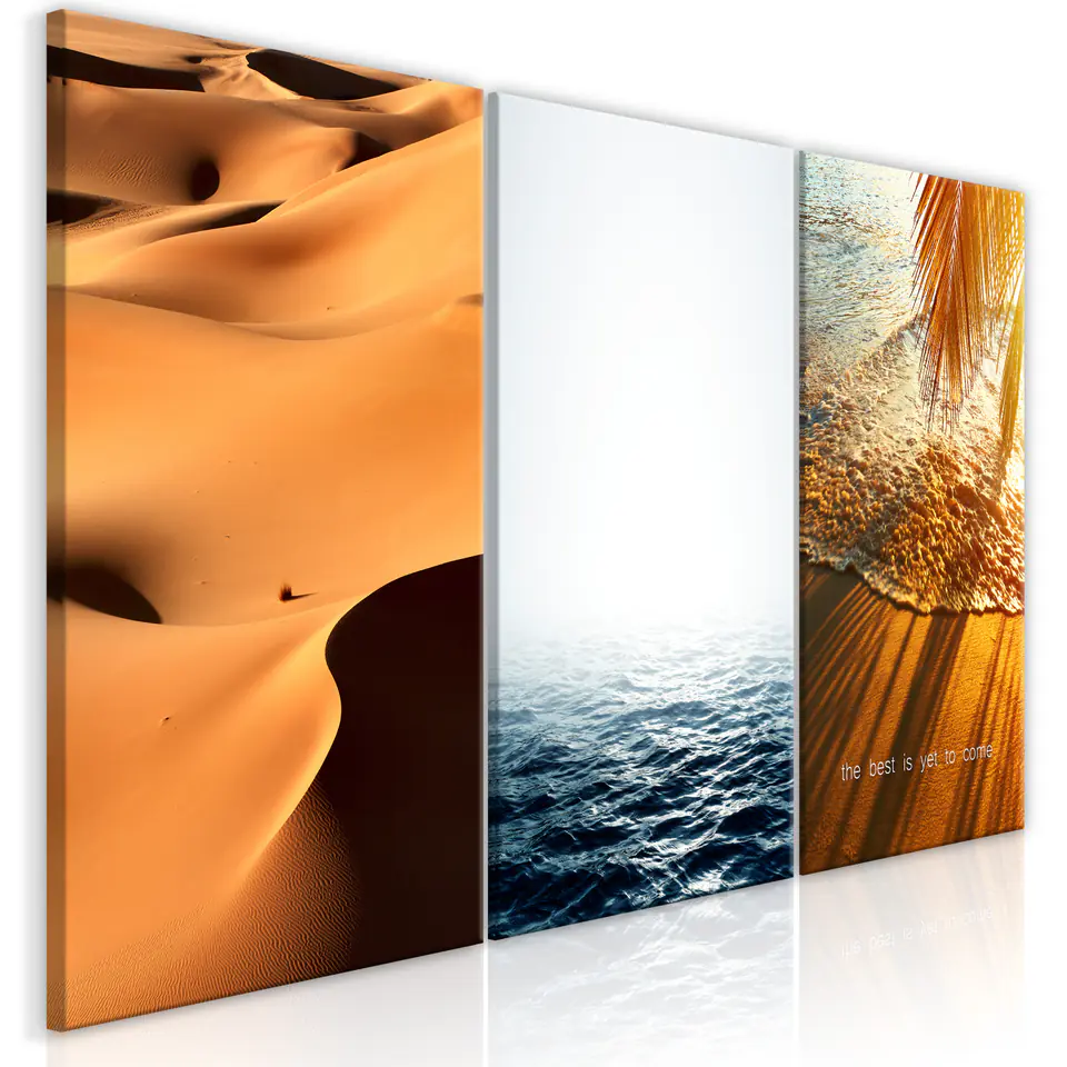 ⁨Obraz - Piasek i woda (3-częściowy) (rozmiar 120x60, wykończenie Premium Print)⁩ w sklepie Wasserman.eu