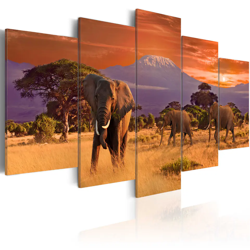 ⁨Picture - Africa: elephants (size 100x50)⁩ at Wasserman.eu
