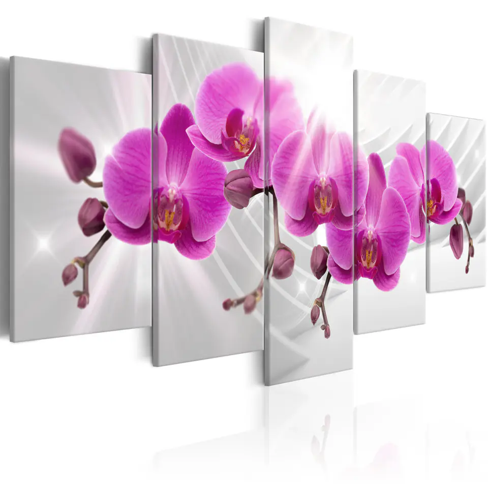 ⁨Picture - Abstract garden: Pink orchids (size 100x50)⁩ at Wasserman.eu