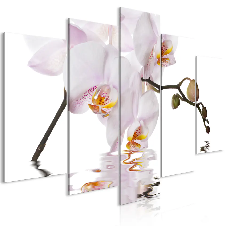 ⁨Obraz - Zachwycająca orchidea (5-częściowy) szeroki (rozmiar 100x50, wykończenie Premium Print)⁩ w sklepie Wasserman.eu