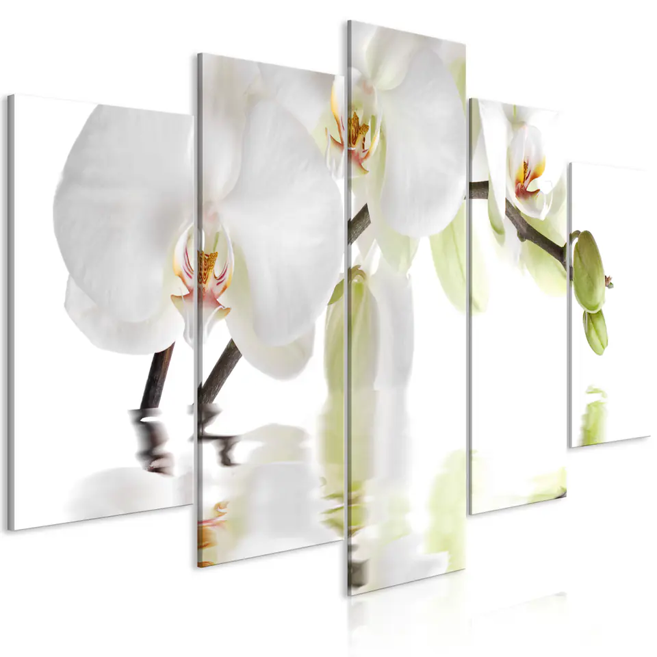 ⁨Obraz - Wspaniała orchidea (5-częściowy) szeroki (rozmiar 200x100, wykończenie Premium Print)⁩ w sklepie Wasserman.eu