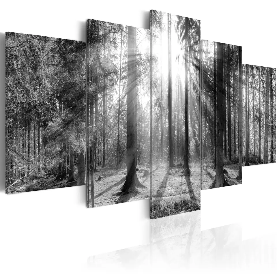 ⁨Painting - Forest of Memories (size 100x50)⁩ at Wasserman.eu