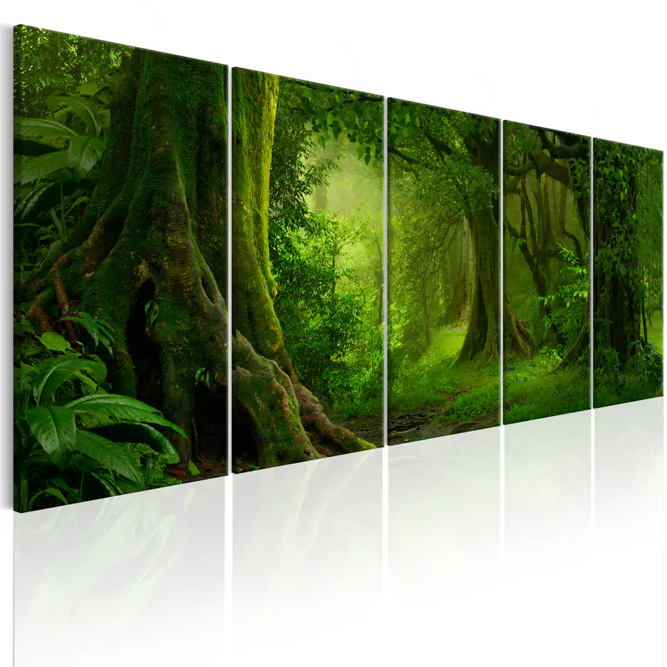 ⁨Picture - Tropical jungle (size 200x80)⁩ at Wasserman.eu