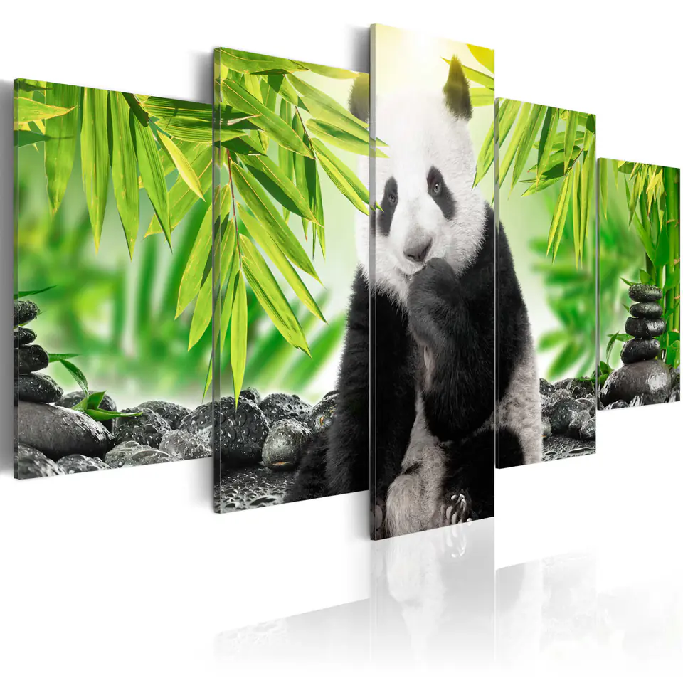 ⁨Obraz - Słodka mała panda (rozmiar 200x100, wykończenie Standard)⁩ w sklepie Wasserman.eu