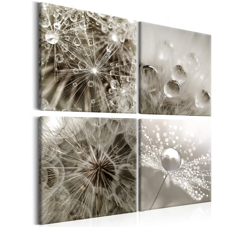 ⁨Picture - Gray dandelion (size 40x40)⁩ at Wasserman.eu