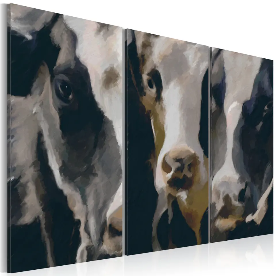 ⁨Picture - Piebald cow (size 90x60)⁩ at Wasserman.eu