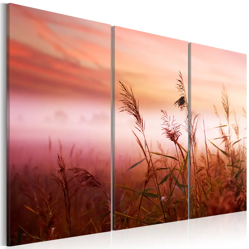 ⁨Obraz - Cicha łąka (rozmiar 60x40, wykończenie Premium Print)⁩ w sklepie Wasserman.eu