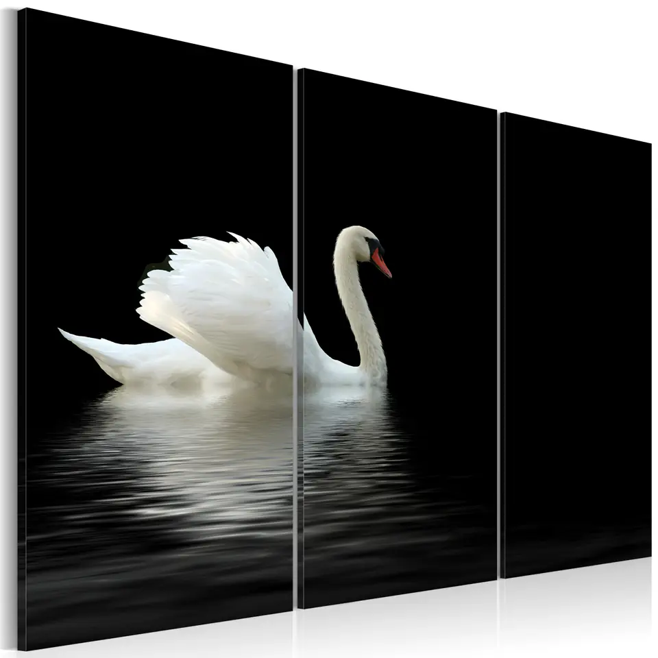 ⁨Picture - Lonely white swan (size 60x40)⁩ at Wasserman.eu