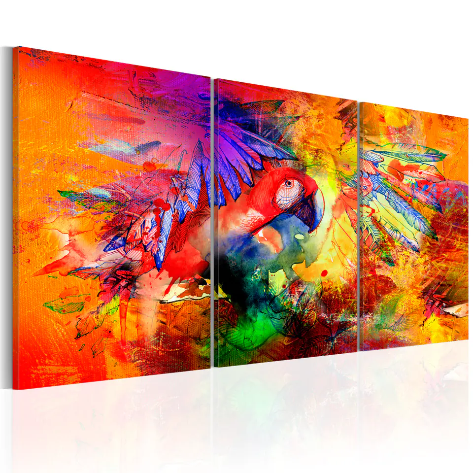 ⁨Picture - Colorful parrot (size 60x30)⁩ at Wasserman.eu