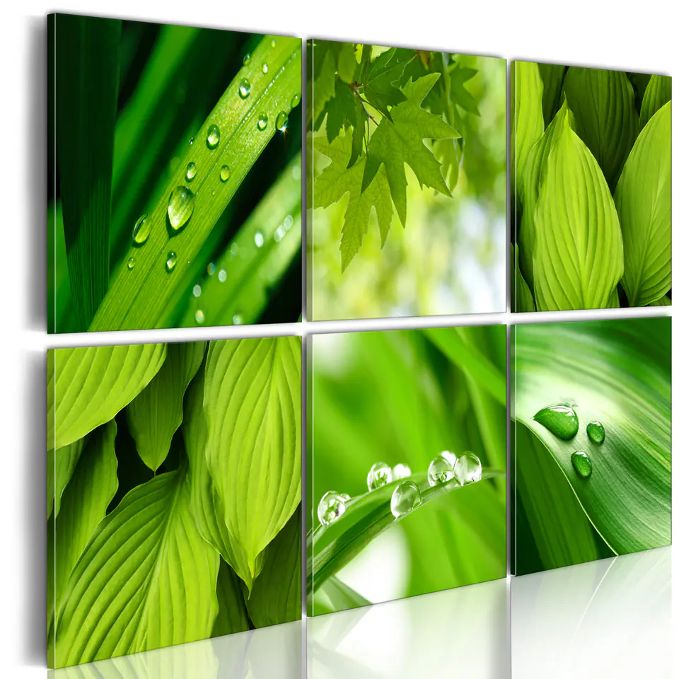 ⁨Picture - Juicy green leaves (size 60x40)⁩ at Wasserman.eu