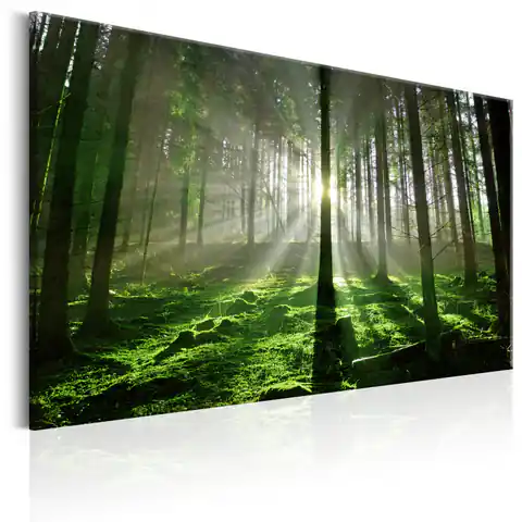 ⁨Obraz - Szmaragdowy las II (rozmiar 90x60, wykończenie Premium Print)⁩ w sklepie Wasserman.eu