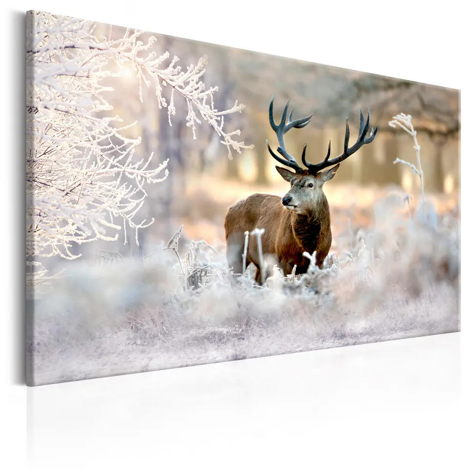 ⁨Obraz - Jeleń na mrozie (rozmiar 120x80, wykończenie Premium Print)⁩ w sklepie Wasserman.eu