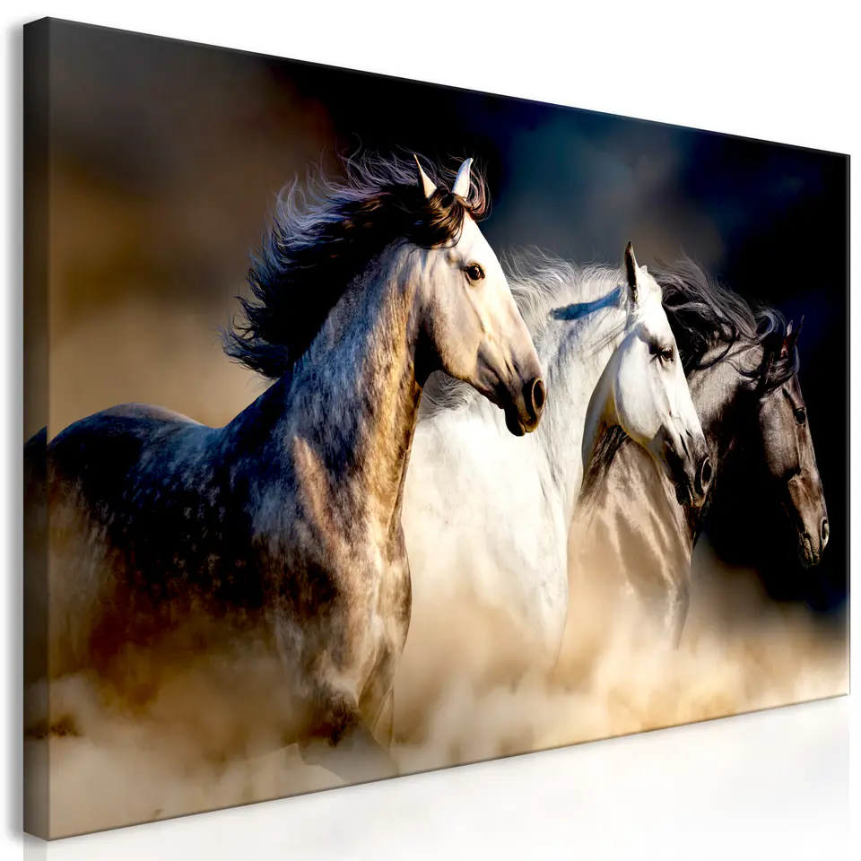 ⁨Obraz - Synowie wiatru (1-częściowy) szeroki (rozmiar 120x60, wykończenie Premium Print)⁩ w sklepie Wasserman.eu