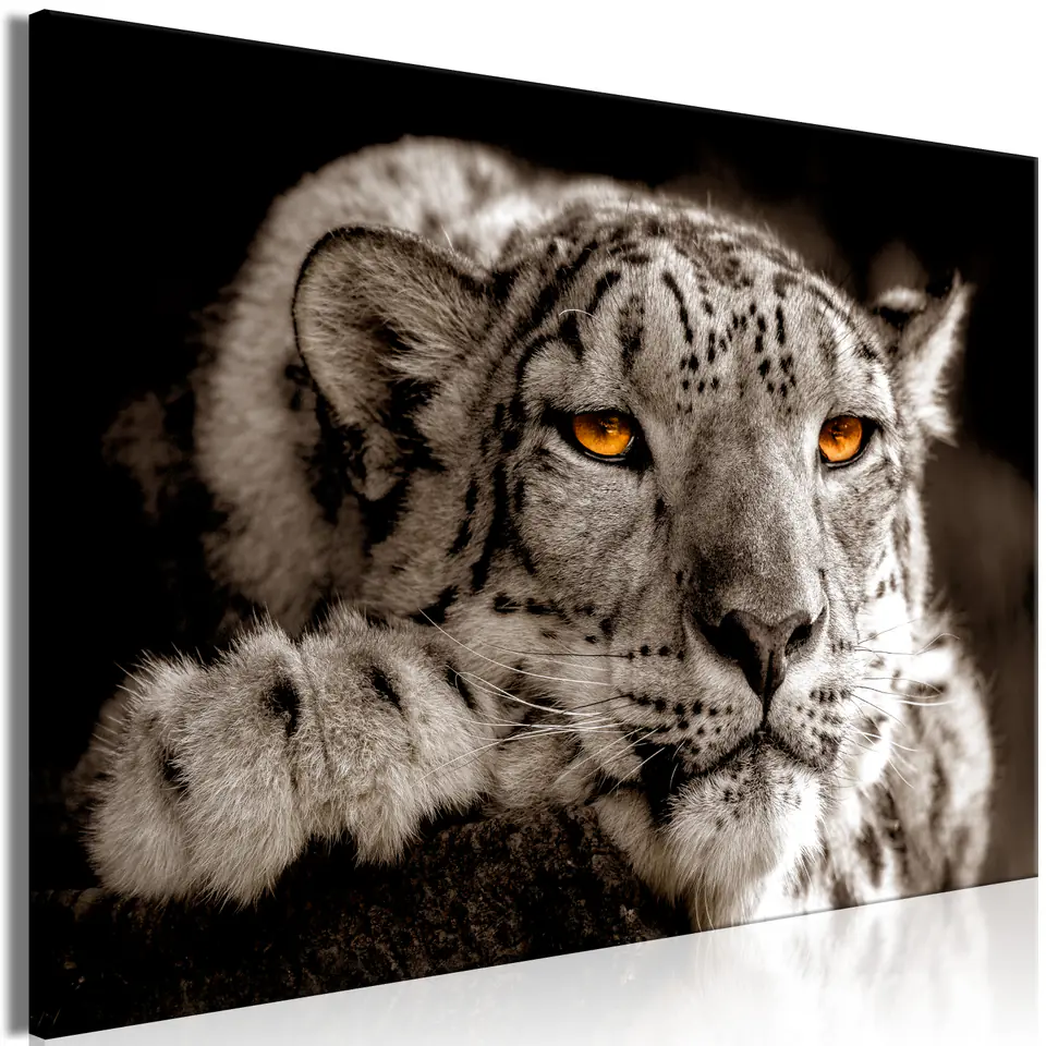 ⁨Obraz - Magiczne oczy (1-częściowy) szeroki (rozmiar 60x40, wykończenie Premium Print)⁩ w sklepie Wasserman.eu