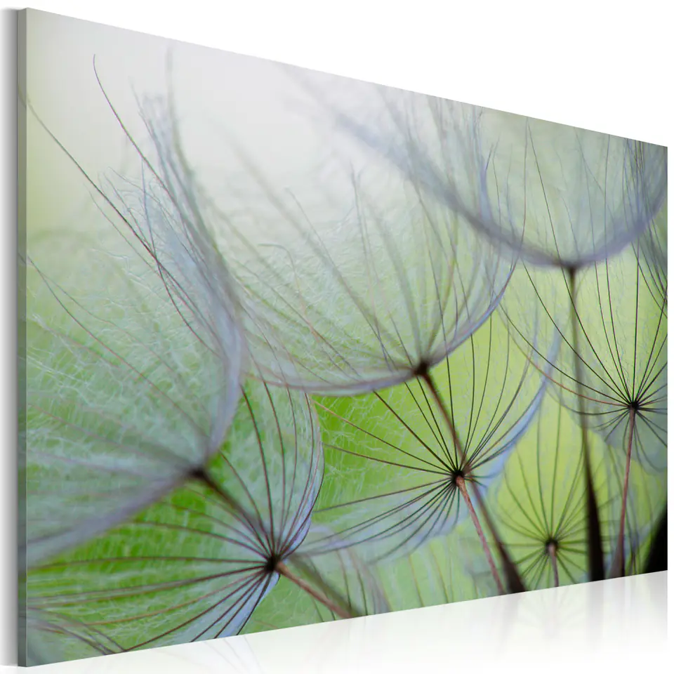 ⁨Painting - Dandelion in the wind (size 120x80)⁩ at Wasserman.eu