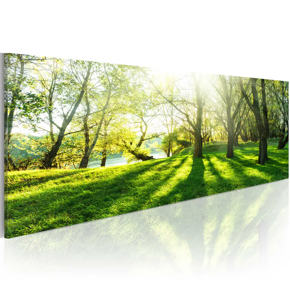 ⁨Obraz - W promieniach słońca (rozmiar 135x45, wykończenie Standard)⁩ w sklepie Wasserman.eu