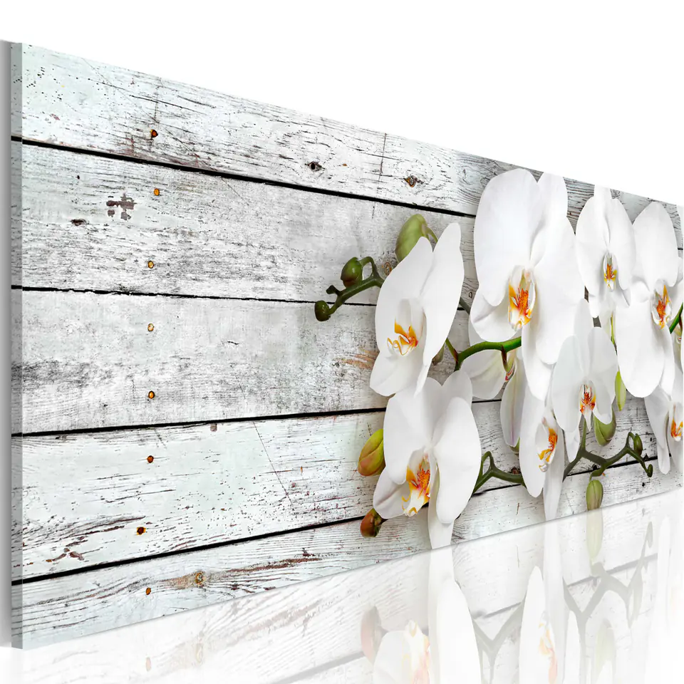 Picture - White dreams (size 120x40) at Wasserman.eu