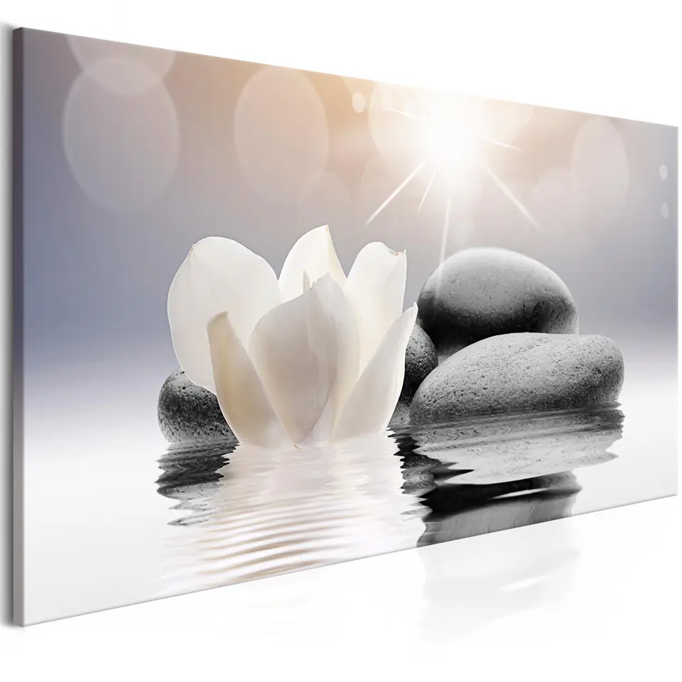 ⁨Picture - Natural lightness (1-piece) wide (size 100x45)⁩ at Wasserman.eu