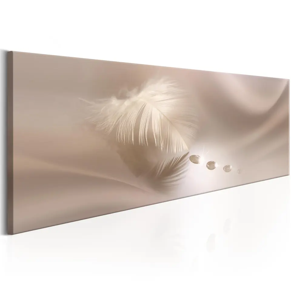 ⁨Obraz - Delikatne piórko (rozmiar 150x50, wykończenie Premium Print)⁩ w sklepie Wasserman.eu