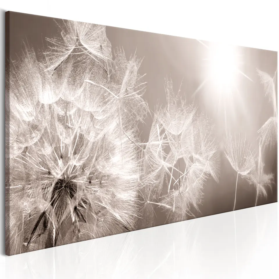 ⁨Obraz - Letnie dmuchawce (rozmiar 135x45, wykończenie Premium Print)⁩ w sklepie Wasserman.eu