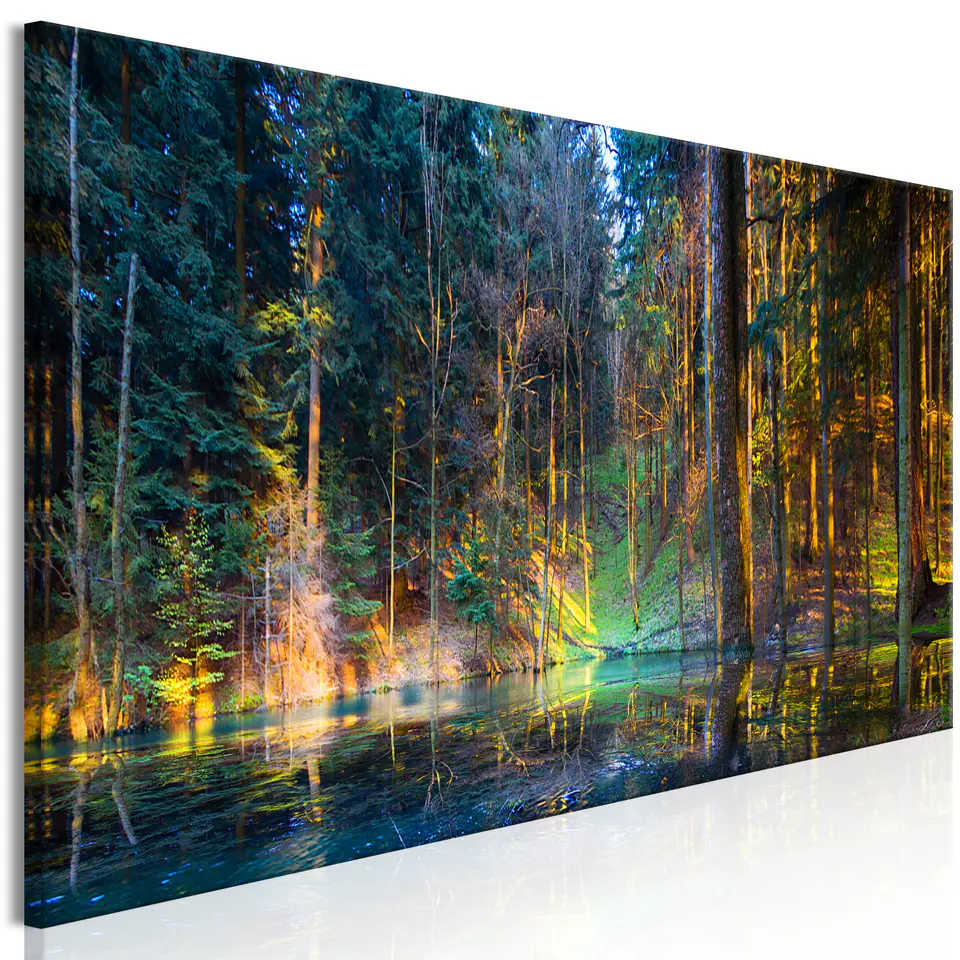 ⁨Obraz - Staw w lesie (1-częściowy) wąski (rozmiar 150x50, wykończenie Premium Print)⁩ w sklepie Wasserman.eu