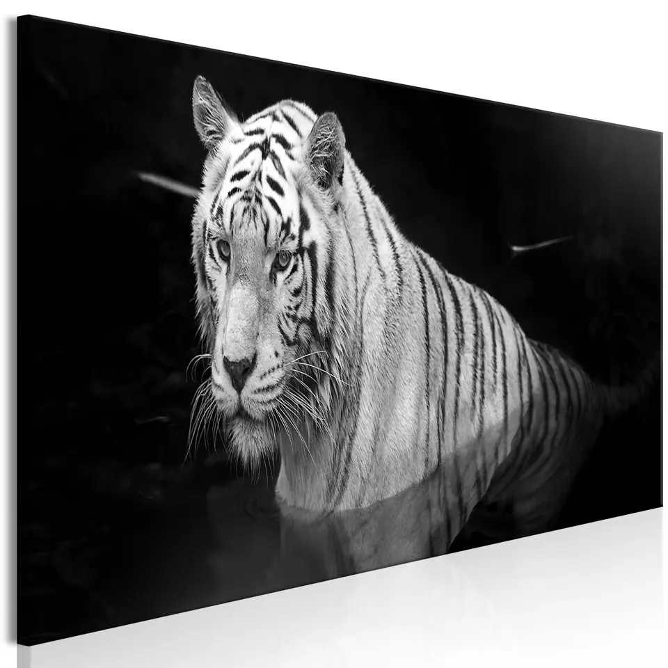 ⁨Obraz - Lśniący tygrys (1-częściowy) czarno-biały wąski (rozmiar 150x50, wykończenie Premium Print)⁩ w sklepie Wasserman.eu
