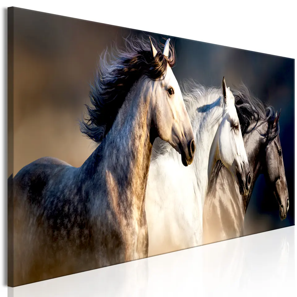 ⁨Obraz - Synowie wiatru (1-częściowy) wąski (rozmiar 120x40, wykończenie Premium Print)⁩ w sklepie Wasserman.eu