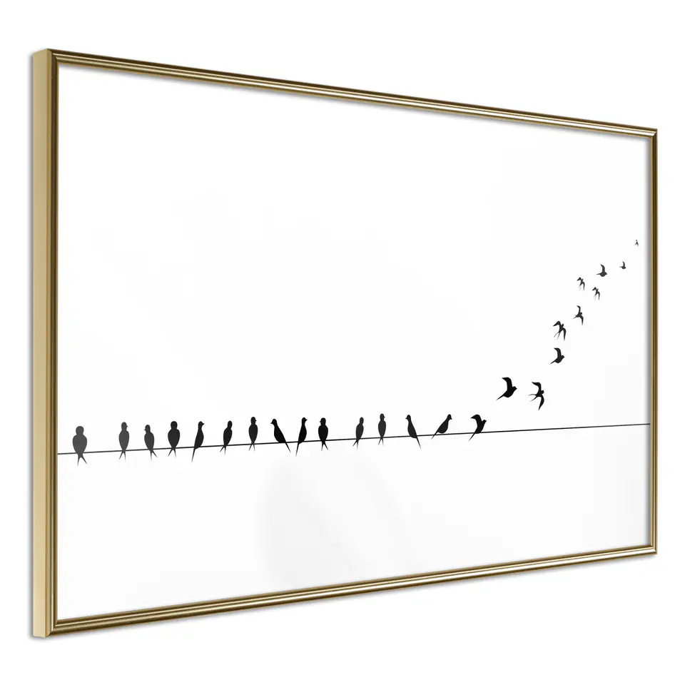 ⁨Poster - Birds on the cord (size 30x20, finish Gold frame)⁩ at Wasserman.eu