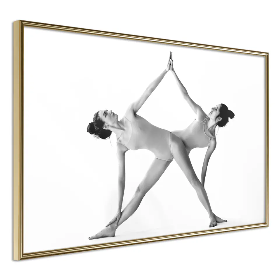 ⁨Poster - High five! (size 30x20, gold frame finish)⁩ at Wasserman.eu