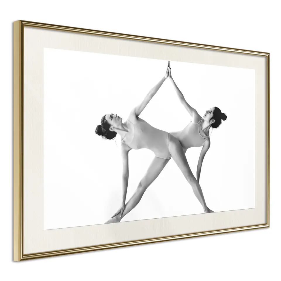 ⁨Poster - High five! (size 30x20, gold frame finish with passe-partout)⁩ at Wasserman.eu