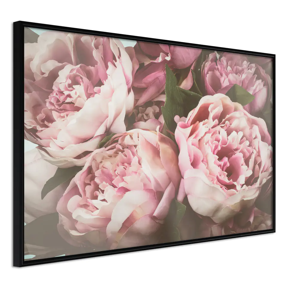 ⁨Poster - Pastel peonies (size 30x20, finish Frame black)⁩ at Wasserman.eu