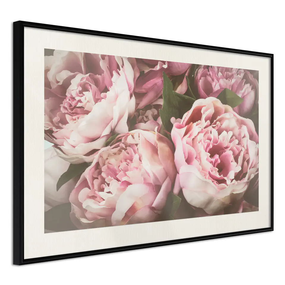 ⁨Poster - Pastel peonies (size 30x20, finish Black frame with passe-partout)⁩ at Wasserman.eu