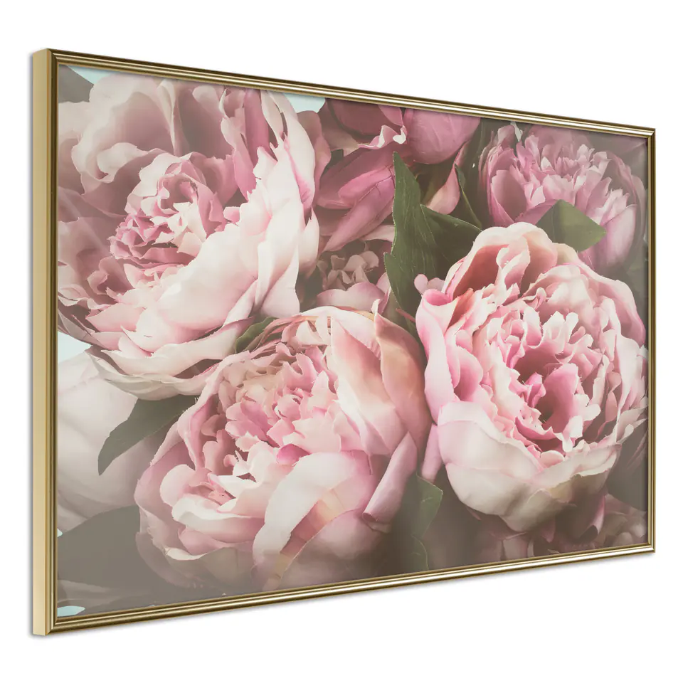 ⁨Poster - Pastel peonies (size 30x20, finish Gold frame)⁩ at Wasserman.eu